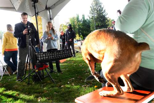 Scott Sommerdorf   |  The Salt Lake Tribune
Photographer Alex Gallivan volunteered to photograph the pets of people who registered them in the the "Strut Your Mutt" event in Liberty Park, Saturday, October 24, 2015.