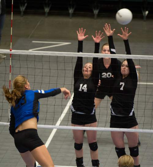 Rick Egan  |  The Salt Lake Tribune

Panguitch Bobcats Chesney Campbell  (23), hits the ball, as Monticello Buckaroos Allie Maughan (14) and Averi Christiansen (7) defend in prep 1A championship volleyball action Panguitch vs. Monticello, at Utah Valley University, Saturday, October 31, 2015.