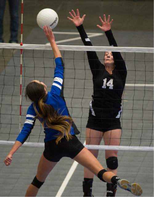 Rick Egan  |  The Salt Lake Tribune

Panguitch Bobcats Whittni Orton (4) hits the ball, as Monticello Buckaroos Allie Maughan (14) defends in prep 1A championship volleyball action Panguitch vs. Monticello, at Utah Valley University, Saturday, October 31, 2015.