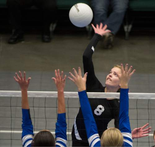 Rick Egan  |  The Salt Lake Tribune

Monticello Buckaroos  Atlanta Black (8) knocks the ball over the net, in prep 1A championship volleyball action Panguitch vs. Monticello, at Utah Valley University, Saturday, October 31, 2015.