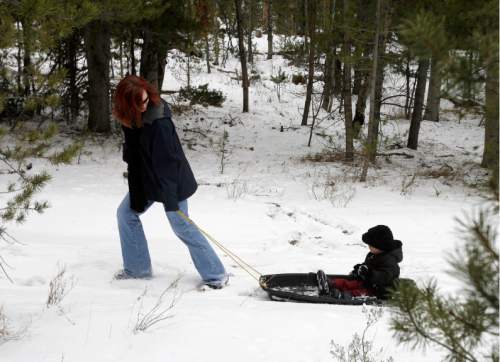 Nita McFarland pulls her daughter Lexi in a sled, as she looked for a tree with the Geerdes Family spent the day looking for Christmas trees in the Uinta Mountains near Evanston Wyoming.    Brett Prettyman/The Salt Lake Tribune   11/30/2007