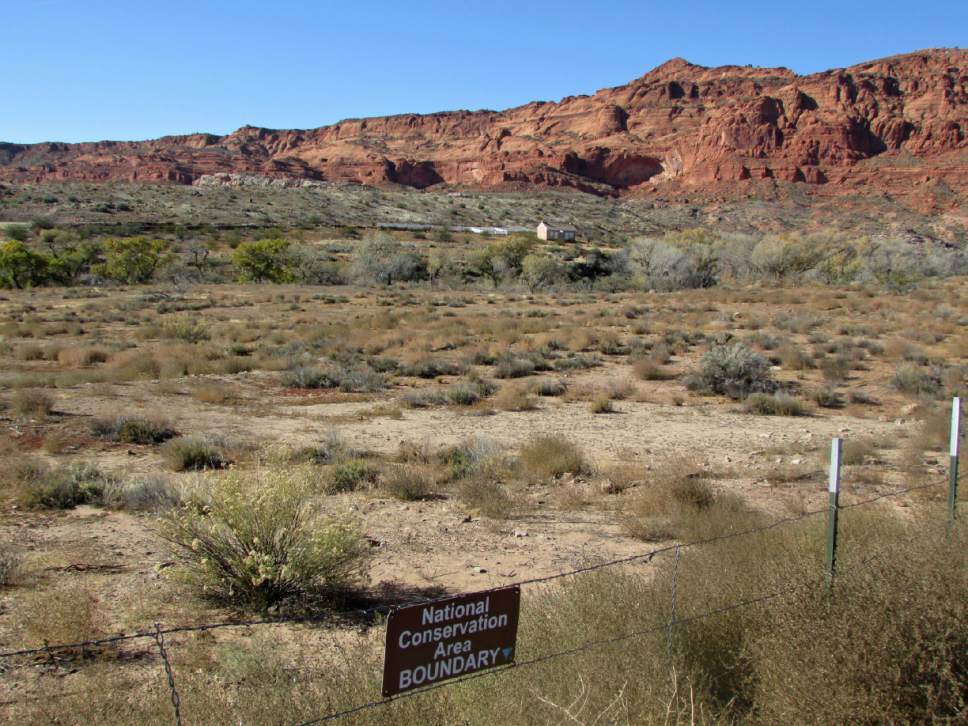 Tom Wharton  |  Tribune file photo
Red Cliffs National Conservation Area.