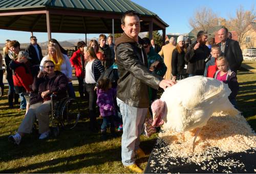 Leah Hogsten  |  The Salt Lake Tribune
"I raised him," said Steven Olson from Southwest Farms in Manti as he reached out to pet the turkey. Turko, a 21-week-old, 57 pound turkey was spared Wednesday, November 26, 2014 by Lt. Gov. Spencer Cox from becoming a Thanksgiving feast during the Fourth Annual Utah Turkey Pardon at Thanksgiving Point. Turko will roam free in his new home at Thanksgiving Point's Farm Country.