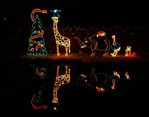 Trent Nelson  |  The Salt Lake Tribune

Two million lights were switched on Saturday, December 2, 2007 at Salt Lake City's Hogle Zoo for the first annual Zoo Lights celebration. This colorful display is in the elephant habitat.