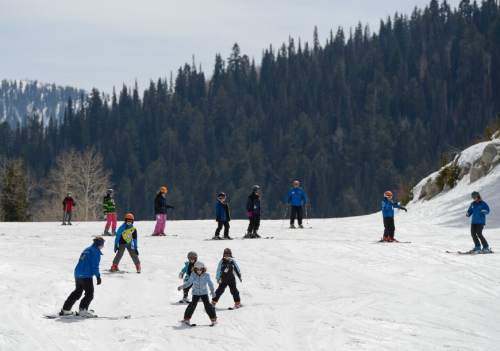 Francisco Kjolseth  |  The Salt Lake Tribune 

Spring skiing conditions appear to come earlier this year as a skiing class makes their way down the bunny slope at Solitude Mountain Resort on Wednesday, March 18, 2015.