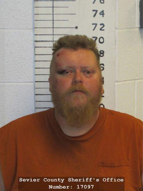 Court document Sevier County man admits to shooting in 911 call The