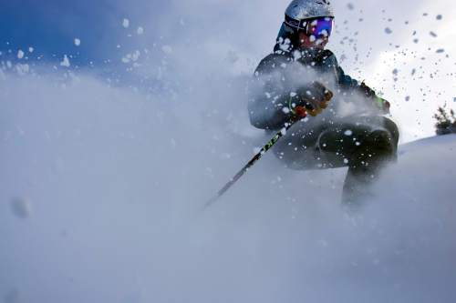 Chris Detrick  |  Tribune File Photo

Creating a snow plume on a powder day at Snowbird, William Kerig  is a Salt Lake City-based author whose new book examines extreme skiing through 15-year-old Kye Petersen's trip to Chamonix, France to ski the glacier where his father died a decade earlier.