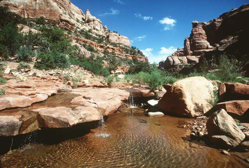 Al Hartmann  |  Tribune file photo
Clear water falls into a pool in a sandstone canyon on Cedar Mesa in San Juan County.  The area is included for a proposed Bears Ears National Conservation Area.