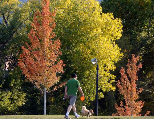 Al Hartmann  |  The Salt Lake Tribune
Man walks his dog in Sugrhouse Park Friday in Salt lake City in October as the first trees show  hints of Fall after our long warm Indian Summer.