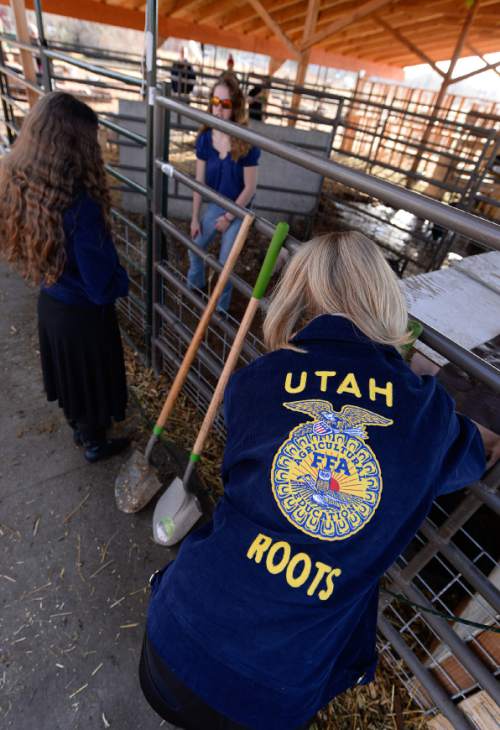 Francisco Kjolseth | The Salt Lake Tribune
At Roots, Utah's first farm-based charter school in West Valley City, students get hands on experience working at the school's farm just down the street from the school. 
A legislative task form is recommending changes to the way Utah's charter schools are funded.