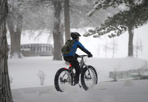 Al Hartmann  |  The Salt Lake Tribune
Monday morning  was a nightmare for those commuting to work by car in Salt Lake City as the snow falls Monday morning Dec. 14.  It wasn't easy for those on foot either. This bicyclist in Liberty Park had no problems with fat tires.