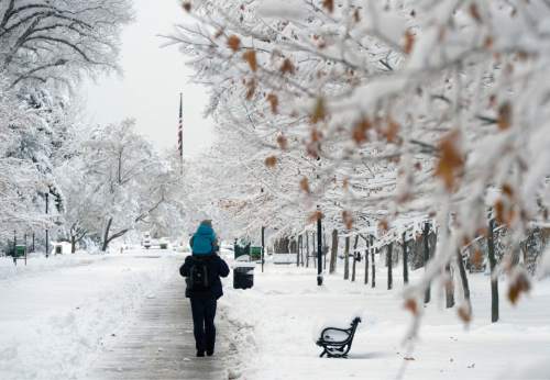 Al Hartmann  |  The Salt Lake Tribune
Father and son explore the beauty of yesterday's record breaking snowfall in Liberty Park as snow hung heavy from branches Tuesday morning Dec. 15.