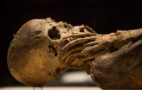 Steve Griffin  |  The Salt Lake Tribune

 A naturally-mummified young woman is part of "Mummies of the World: The Exhibition" at The Leonardo in Salt Lake City, through March 6, 2016. The collection of about 200 mummies explors the links between mummies, science and medicine.