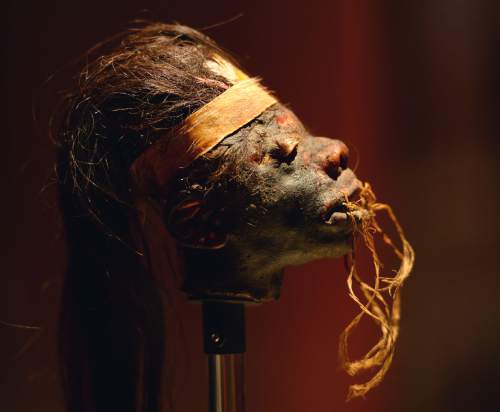 Steve Griffin  |  The Salt Lake Tribune

Shrunken heads that were traditionally battle trophies prepared by the Jivaro tribes of the Amazon are part of the "Mummies of the World: The Exhibition" at The Leonardo in Salt Lake City through March 6, 2016.