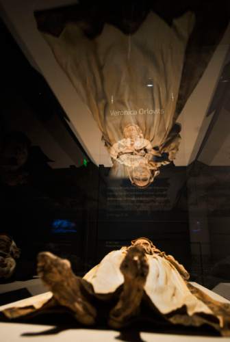 Steve Griffin  |  The Salt Lake Tribune

"Mummies of the World: The Exhibition" at The Leonardo will be on display from Dec. 18 through March 6, 2016. The collection of about 200 mummies explors the links between mummies, science and medicine.