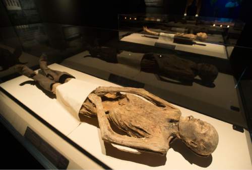 Steve Griffin  |  The Salt Lake Tribune

 "Mummies of the World: The Exhibition" at The Leonardo will be on display from Dec. 18 through March 6, 2016. The collection of about 200 mummies explors the links between mummies, science and medicine.