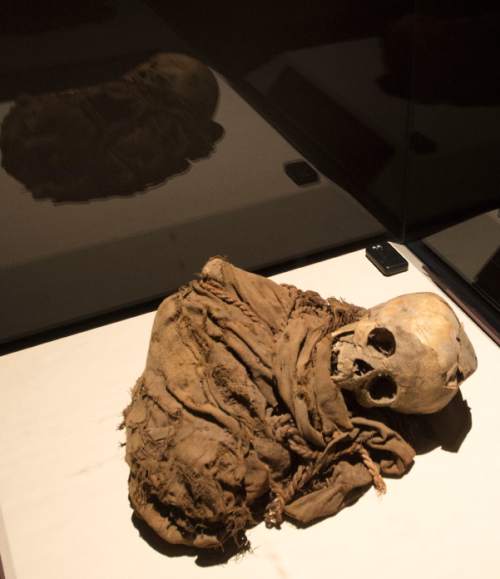Steve Griffin  |  The Salt Lake Tribune

 A naturally-mummified child is part of "Mummies of the World: The Exhibition" at The Leonardo through March 6, 2016.