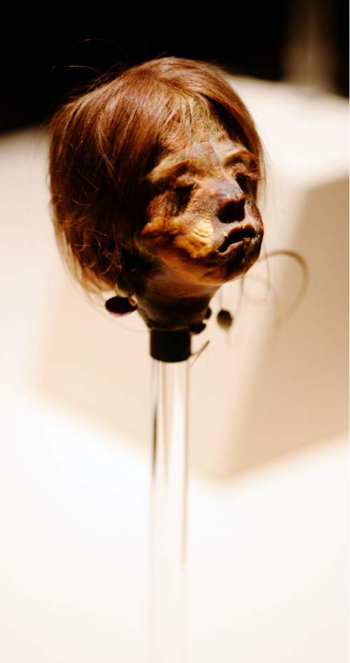 Steve Griffin  |  The Salt Lake Tribune

Shrunken heads that were traditionally battle trophies prepared by the Jivaro tribes of the Amazon are part of the "Mummies of the World: The Exhibition" at The Leonardo on display from Dec. 18 through March 6, 2016. The collection of about 200 mummies explors the links between mummies, science and medicine.