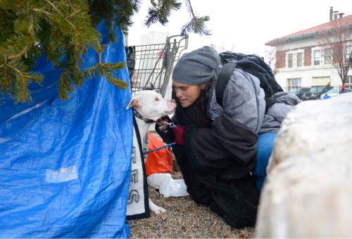 Leah Hogsten  |  The Salt Lake Tribune
"I've never seen it this bad," said Ashley Gomez of the high number of homeless people in Salt Lake City, including herself. Gomez and her dog Sadie try to stay somewhat warm and dry after her "camp" flooded due to snowfall, Tuesday, December 22, 2015.  The U.S. Conference of Mayors has released its annual Hunger and Homeless Survey. The report surveyed 22 cities and found that over all, homelessness increased 5.2 percent. Sixty-Six percent of the cities reported an increase in the need for food assistance.