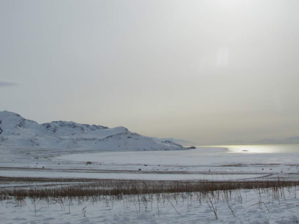 Tom Wharton  |  The Salt Lake Tribune

A winter sun can make a visit to Antelope Island a wonderful winter experience.