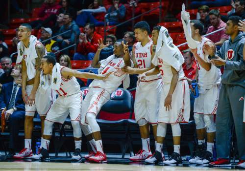 Francisco Kjolseth | The Salt Lake Tribune
The Utah bench cheers on their team as they beat the College of Idaho at the Huntsman Center on Monday night in the final non-conference game of the season.