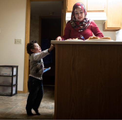 Steve Griffin  |  The Salt Lake Tribune

Two-year-old Ridha Alhareb stands on his tiptoes as he watches his mother, Sarah Alsahyem, prepare snacks for guests in their home in Millcreek, Friday, Dec. 18, 2015. Mohammed Alhareb, wife Sarah and son Ridha have been in Utah for nine months since leaving Iraq.