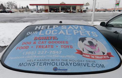 Francisco Kjolseth | The Salt Lake Tribune
Kandie, a therapy dog owned by Kelly Lawson, is the face behind a "monster holiday drive," started three years ago to help support local animal services. Kandie was on hand as a small army of volunteers and employees at the Salt Lake County Animal Services helped unload donations from the trucks.