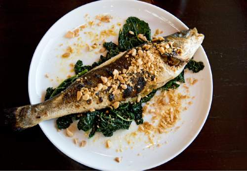 Lennie Mahler  |  The Salt Lake Tribune

Branzino at Current Fish and Oyster at Third and Third in downtown Salt Lake City.