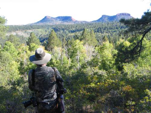 Tribune file photo
Photographer explores the high forested plateau country near the Bear's Ears in San Juan County.  The area is included for a proposed Bears Ears National Conservation Area.