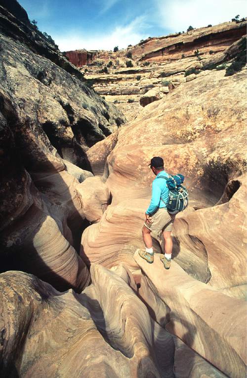 Al Hartmann  |  The Salt Lake Tribune 
Backpacker explores a narrow section of a side canyon in White Canyon in San Juan County in 1999.  The area is included for a proposed Bears Ears National Conservation Area.