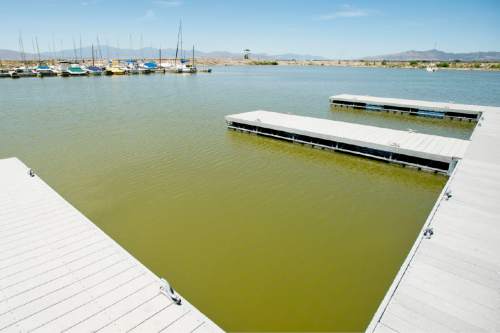 Steve Griffin  |  The Salt Lake Tribune


The Lindon Marina in Orem, Thursday, July 30, 2015.  State water quality managers estimate 44 percent of Utah waterways are at risk for the same kinds of toxic algae plaguing Utah Lake. The toxins are blamed for two dog deaths and the demise of two cows. But the state has not allocated much, if any, funding for monitoring and treatment.
