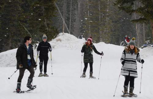 Francisco Kjolseth | The Salt Lake Tribune
People try out snowshoes during the Mountain Demo Day at Solitude Resort in Big Cottonwood Canyon that precedes the opening of the Outdoor Retailer Winter Market trade show.