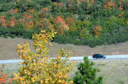 Al Hartmann  |  The Salt Lake Tribune
Car climbs to the top of Parleys Canyon along I-80 as maple and scrub oak begin to turn gold and red Tuesday September 2 hinting at the first of Autumn.