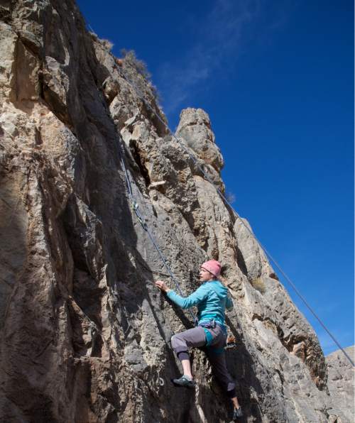 Lynn R. Johnson  |  Special to the Tribune

Katy Pappin of Telluride, Colorado, rock climbing in the Joshua Tree National Scenic Backway.