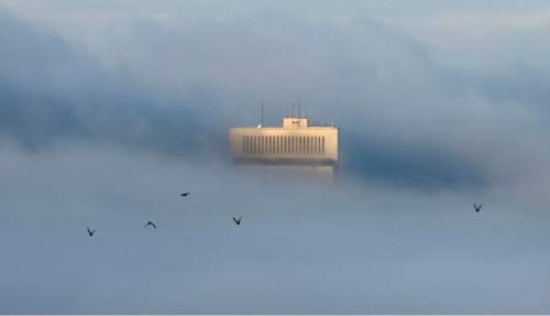 Steve Griffin  |  The Salt Lake Tribune

A blanket of fog covers the Salt Lake Valley as the Church Office Building sticks out of the clouds in Salt Lake City, Thursday, January 7, 2016.