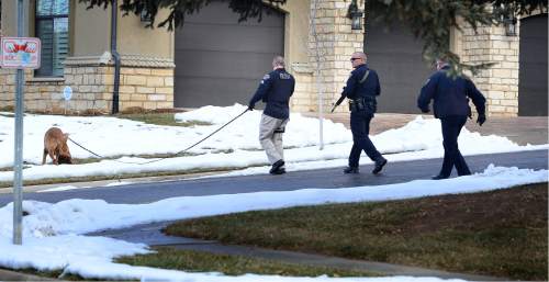 Scott Sommerdorf   |  The Salt Lake Tribune
A Unified Police officer works a search of the neighborhood with a search dog and other officers. Police at the scene of an officer-involved shooting, in Holladay, Sunday, January 17, 2016.