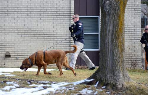 Scott Sommerdorf   |  The Salt Lake Tribune
A Unified Police officer works a search of the neighborhood with a search dog. Police at the scene of an officer-involved shooting, in Holladay, Sunday, January 17, 2016.