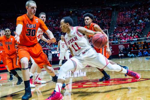 Chris Detrick  |  The Salt Lake Tribune
Utah Utes guard Brandon Taylor (11) runs around Oregon State Beavers guard Malcolm Duvivier (11) during the game at the Huntsman Center Sunday January 17, 2016.