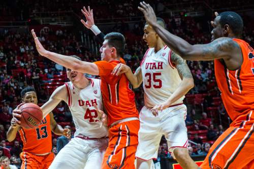 Chris Detrick  |  The Salt Lake Tribune
Utah Utes forward Jakob Poeltl (42) runs past Oregon State Beavers forward Drew Eubanks (12) during the game at the Huntsman Center Sunday January 17, 2016.