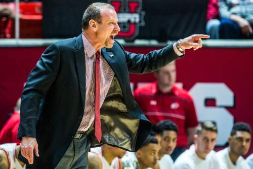 Chris Detrick  |  The Salt Lake Tribune
Utah Utes head coach Larry Krystkowiak during the game at the Huntsman Center Sunday January 17, 2016.