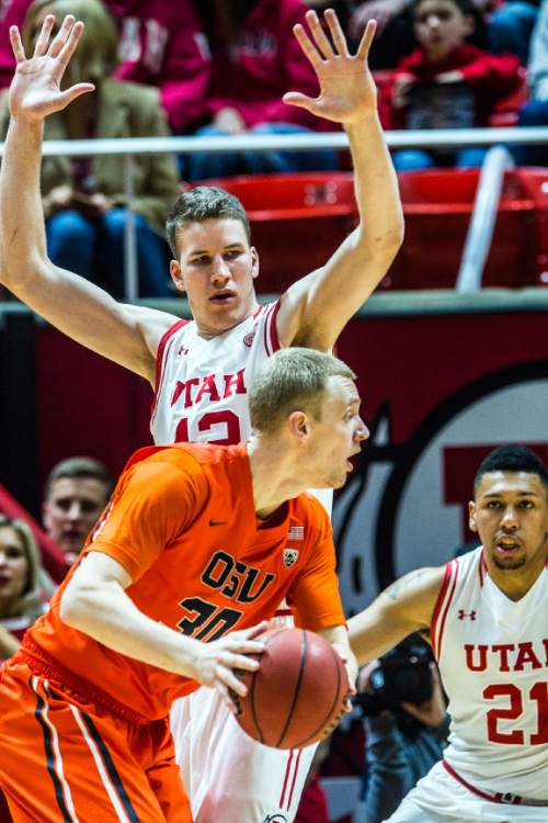 Chris Detrick  |  The Salt Lake Tribune
Utah Utes forward Jakob Poeltl (42) and Utah Utes forward Jordan Loveridge (21) guard Oregon State Beavers forward Olaf Schaftenaar (30) during the game at the Huntsman Center Sunday January 17, 2016.