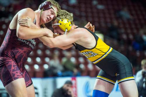 Chris Detrick  |  The Salt Lake Tribune
Maple Mountain's Korbon Tibbals and Wasatch's Cole Johnson wrestle in the 220 pound during the 4A State Duals at the Maverik Center Thursday January 28, 2016.
