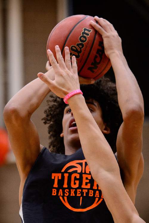 Trent Nelson  |  The Salt Lake Tribune
Ogden High School basketball player Hunter Clarke at practice in Ogden, Thursday January 28, 2016. Ogden's basketball program has registered two winnings seasons since 2001, with zero playoff wins. In the past two seasons before this year, the Tigers were collectively 6-39, including 0-22 in 2013. This season, they're competing for a region championship.