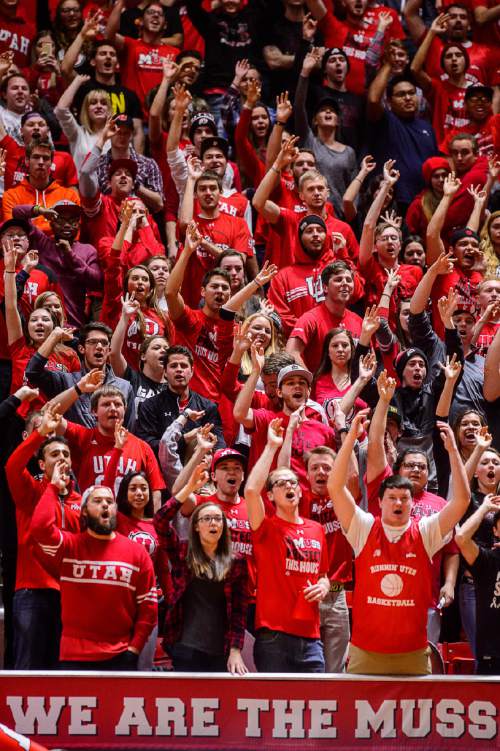 Trent Nelson  |  The Salt Lake Tribune
Utah fans in the MUSS cheer as the team builds a double-digit lead in the second half as the University of Utah hosts Stanford, NCAA basketball at the Huntsman Center in Salt Lake City, Saturday January 30, 2016.