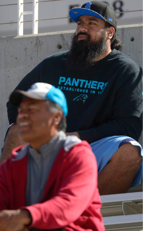 Leah Hogsten  |  The Salt Lake Tribune
Former University of Utah football standout and current tackle for the NFL's Carolina Panthers, Star Lotulelei watches his brother during Utes practice Saturday, March 28, 2015 at Rice-Eccles Stadium.