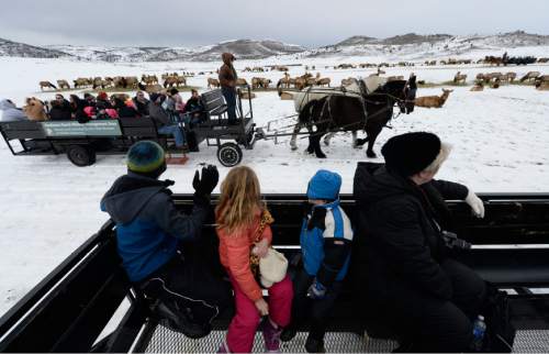 Francisco Kjolseth  |  The Salt Lake Tribune
Visitors to Hardware Ranch Wildlife Management Area in Blacksmith Fork Canyon bundle up for a ride amongst the 500 or so elk on a recent winter weekend. 

The ranch opens Dec. 12 with the annual Rocky Mountain Elk Festival being  held Dec. 13. The ranch will offer sleigh rides through mid-March.