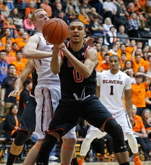 Utah's Brekkott Chapman, front, grabs a loose ball from Oregon State's Olaf Schaftenaar, left, during the first half of an NCAA college basketball game in Corvallis, Ore., on Thursday, Feb. 4, 2016. (AP Photo/Timothy J. Gonzalez)