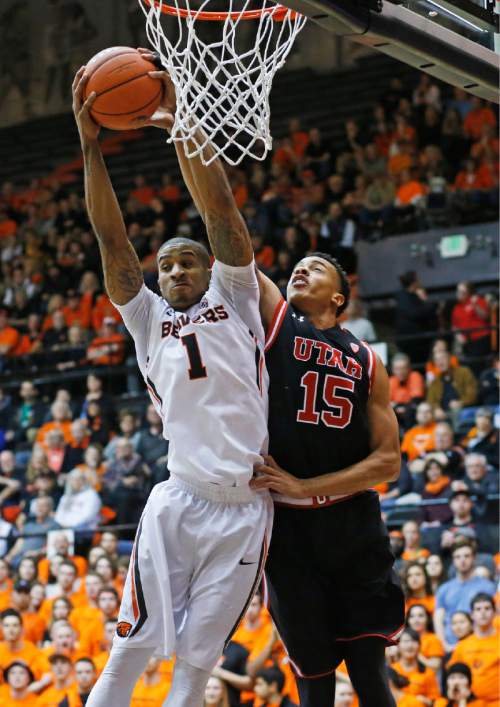 Oregon State's Gary Payton II, left, grabs a rebound from Utah's Lorenzo Bonam during the first half of an NCAA college basketball game in Corvallis, Ore., on Thursday, Feb. 4, 2016. (AP Photo/Timothy J. Gonzalez)