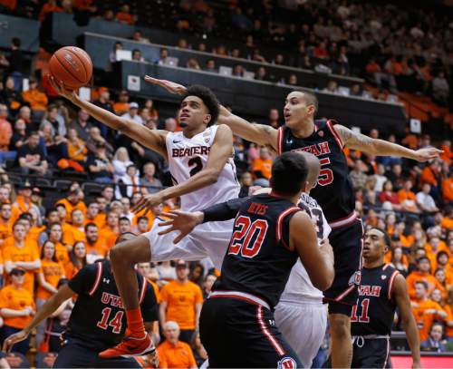 Oregon State's Stephen Thompson Jr. (2) drives past Utah's Dakaria Tucker (14), Chris Reyes (20) and Lorenzo Bonam, right, during the first half of an NCAA college basketball game in Corvallis, Ore., on Thursday, Feb. 4, 2016. (AP Photo/Timothy J. Gonzalez)