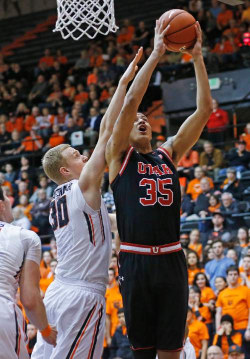Utah's Kyle Kuzma, right, gets to the basket past Oregon State's Olaf Schaftenaar during the first half of an NCAA college basketball game in Corvallis, Ore., on Thursday, Feb. 4, 2016. (AP Photo/Timothy J. Gonzalez)
